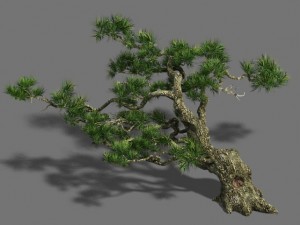 strange - pine 03 3D Model