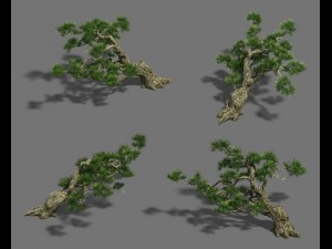 strange - pine 03 3D Model