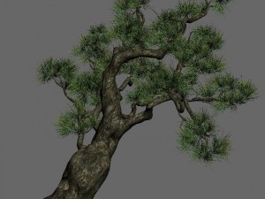 strange - pine 03 3D Model