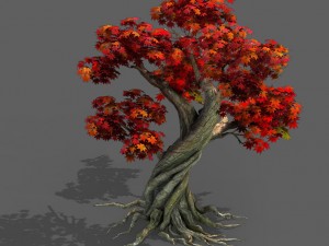 forest - maple 10 3D Model