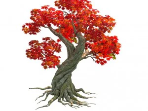forest - maple 10 3D Model