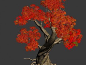 forest - maple 10 3D 模型