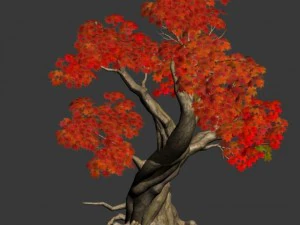 forest - maple 10 3D Model