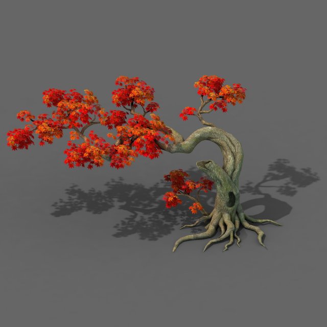 forest - maple tree 11 3D मॉडल .c4d .max .obj .3ds .fbx .stl .blend 