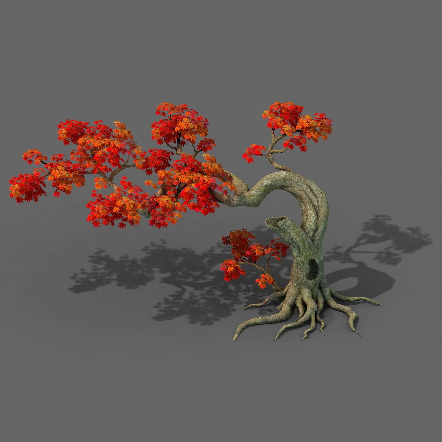 forest - maple tree 11 3D Model .c4d .max .obj .3ds .fbx .stl .blend 