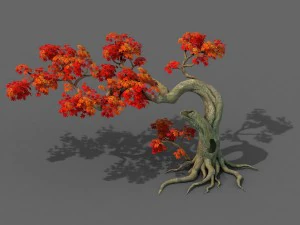 forest - maple tree 11 3D Model