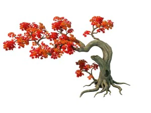 forest - maple tree 11 3D Model
