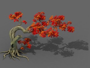 forest - maple tree 11 3D मॉडल