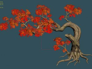 forest - maple tree 11 3D Model