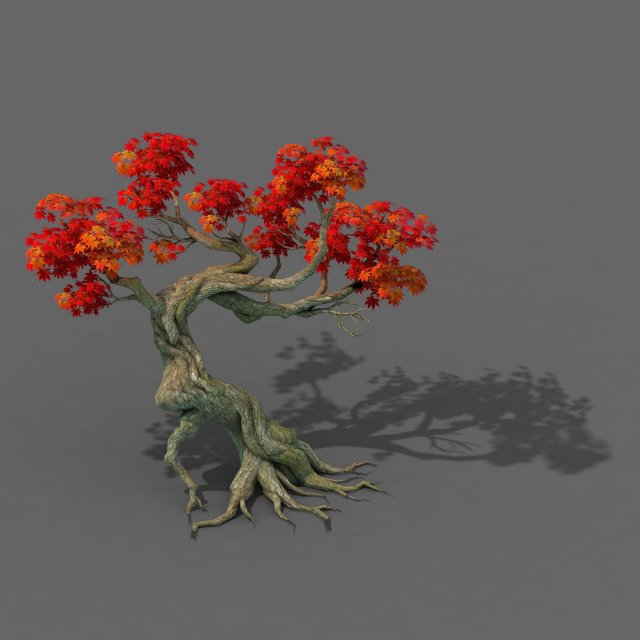 forest - maple tree 12 3D Модель .c4d .max .obj .3ds .fbx .stl .blend 