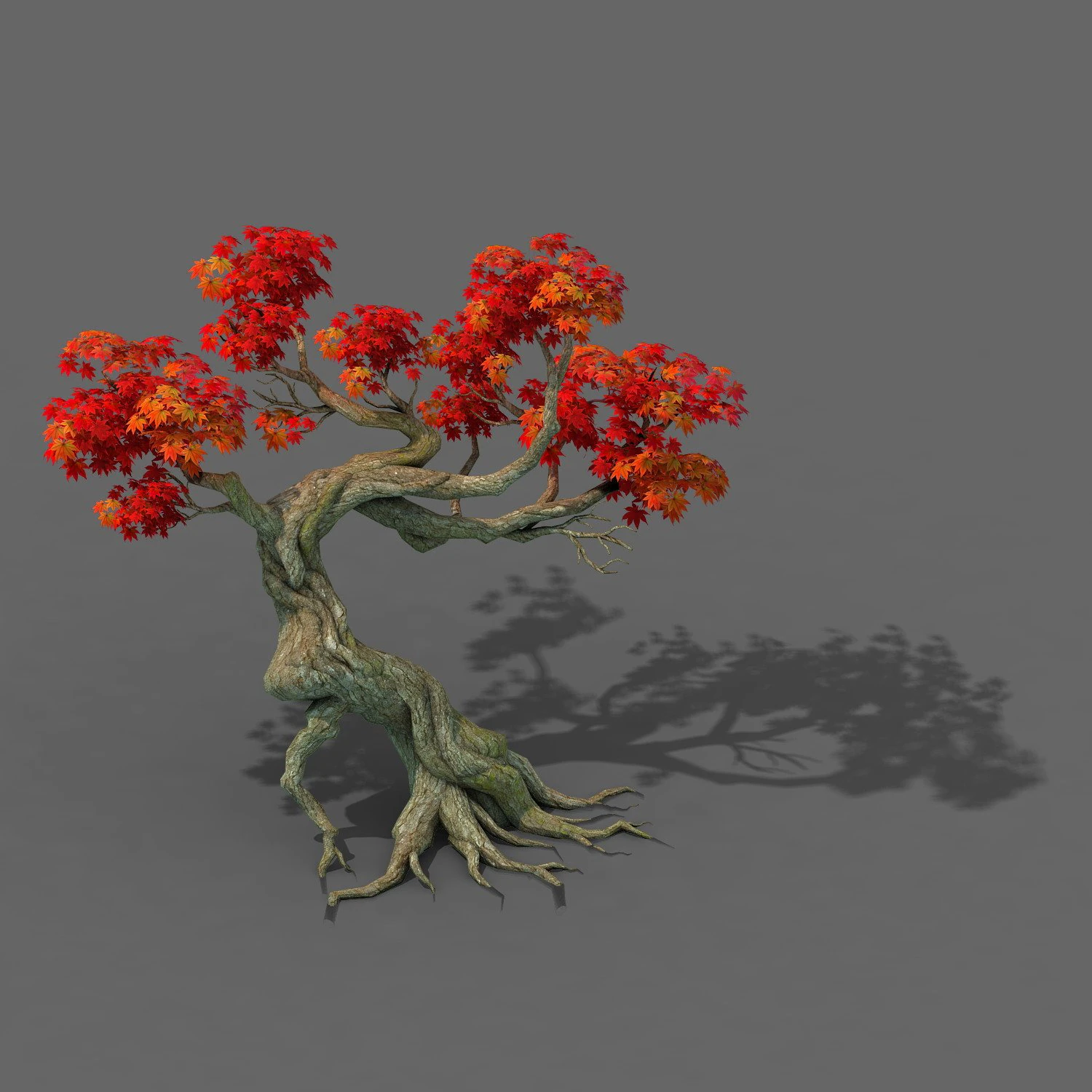 forest - maple tree 12 3D Model .c4d .max .obj .3ds .fbx .stl .blend 
