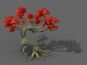 forest - maple tree 12 Modèle 3D