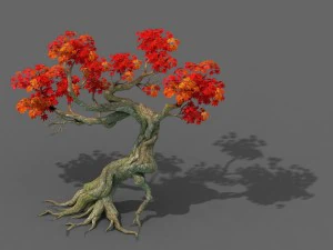 forest - maple tree 12 3D Model