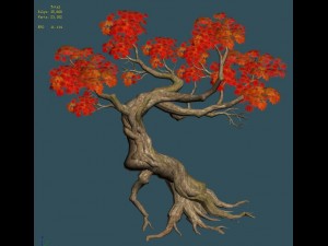 forest - maple tree 12 3D Модель