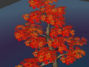 forest - maple tree 13 Model 3D