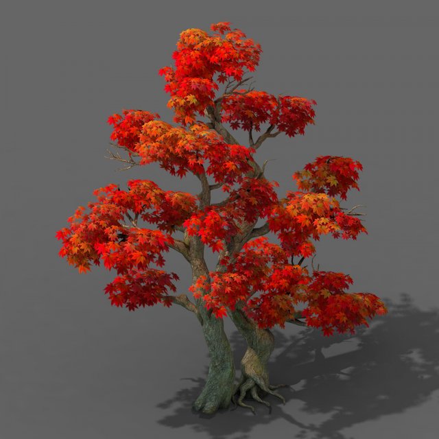 forest - maple tree 14 3D Модель .c4d .max .obj .3ds .fbx .stl .blend 