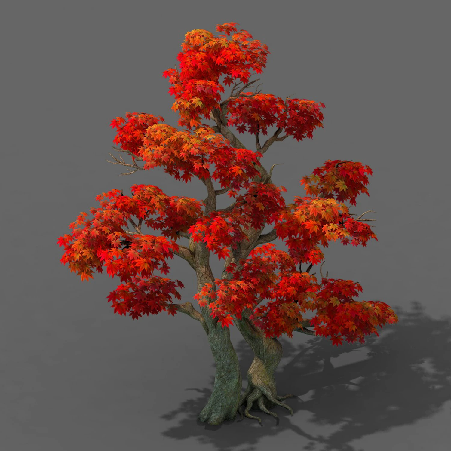 forest - maple tree 14 3D Model .c4d .max .obj .3ds .fbx .stl .blend 