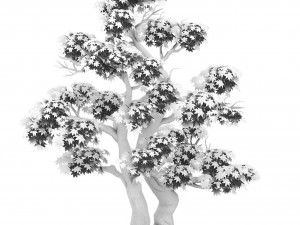 forest - maple tree 14 3D Модель