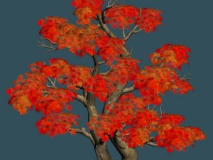 forest - maple tree 14 3D Модель
