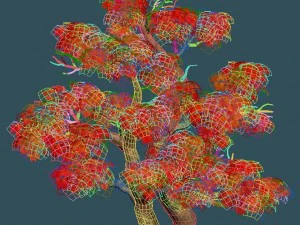 forest - maple tree 14 3D Model