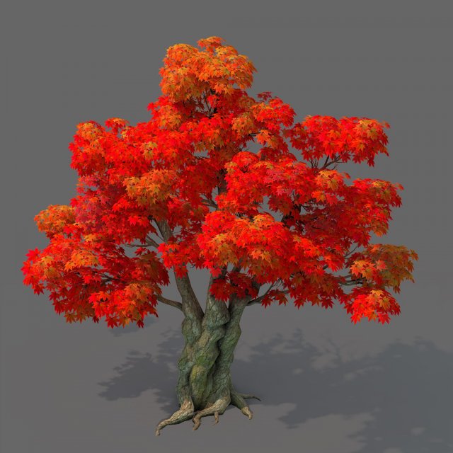 forest - maple tree 15 Modèle 3D .c4d .max .obj .3ds .fbx .stl .blend 