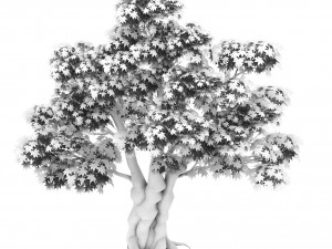 forest - maple tree 15 Modèle 3D