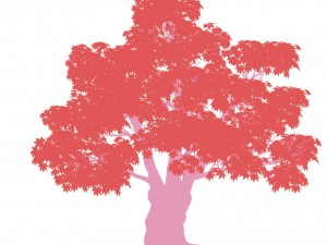 forest - maple tree 15 Modèle 3D
