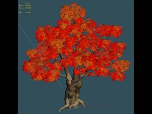forest - maple tree 15 Modèle 3D