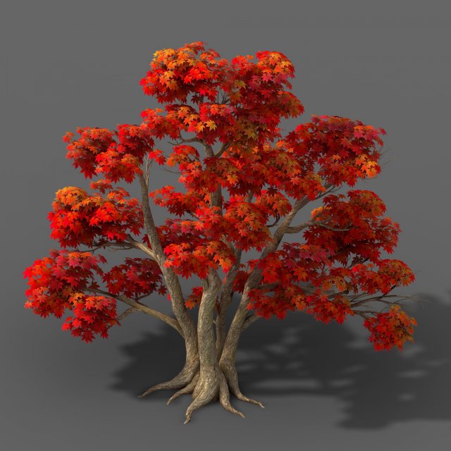 forest - maple trees 16 3D मॉडल .c4d .max .obj .3ds .fbx .stl .blend 