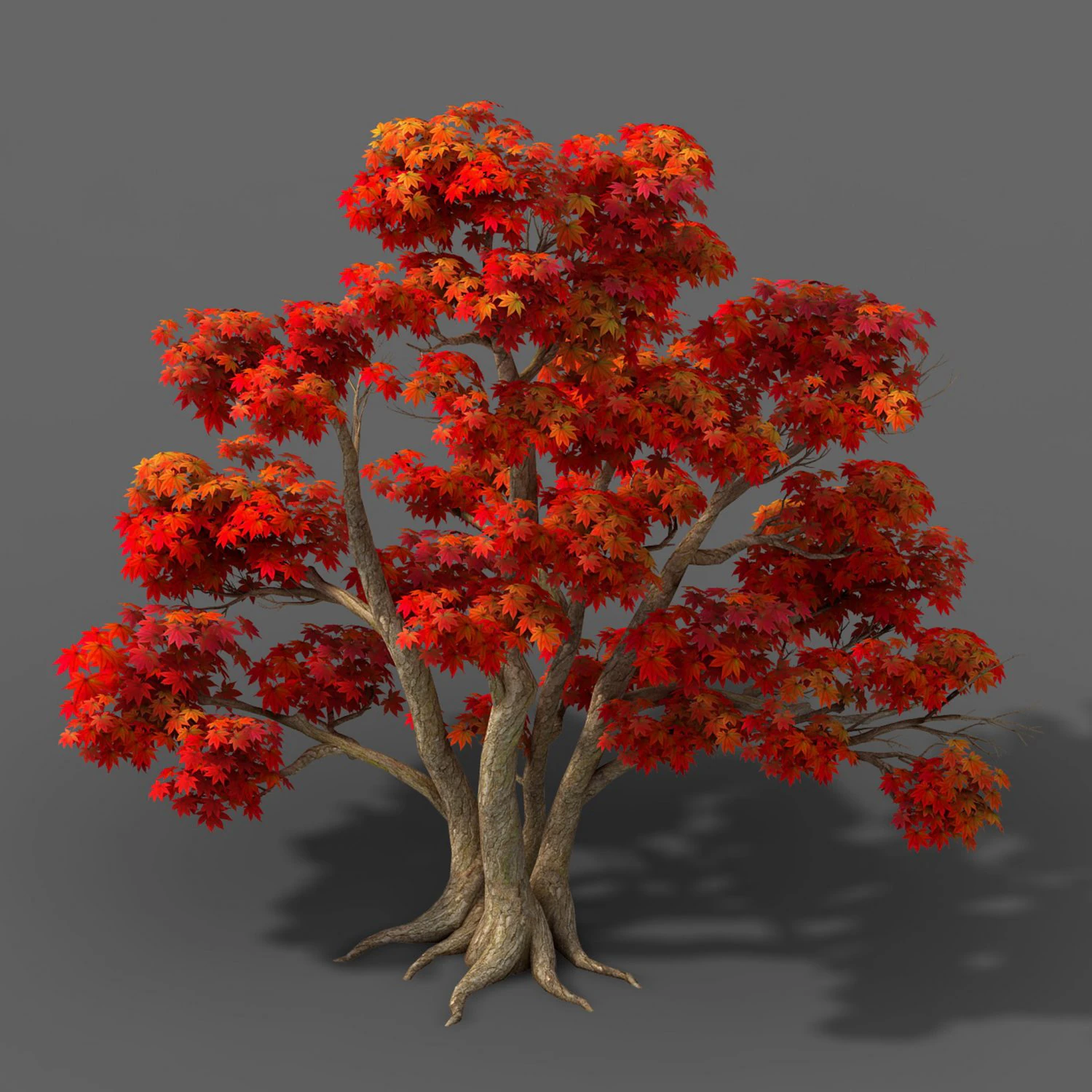 forest - maple trees 16 3D Model .c4d .max .obj .3ds .fbx .stl .blend 