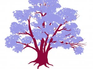 forest - maple trees 16 3D Model