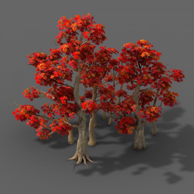 forest - maple trees 17 3D Model .c4d .max .obj .3ds .fbx .stl .blend 