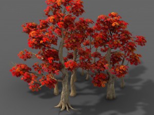forest - maple trees 17 Model 3D