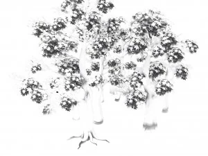 forest - maple trees 17 3D Model