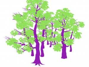 forest - maple trees 17 3D Model