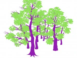 forest - maple trees 17 3D Model