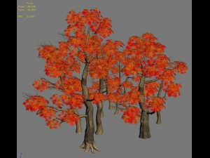 forest - maple trees 17 3D Model