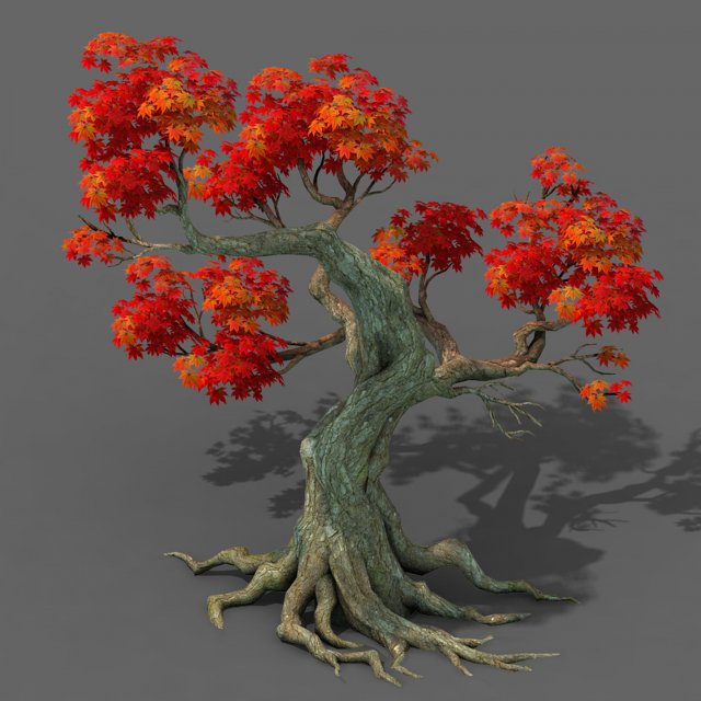forest - maple tree 18 3D 模型 .c4d .max .obj .3ds .fbx .stl .blend 
