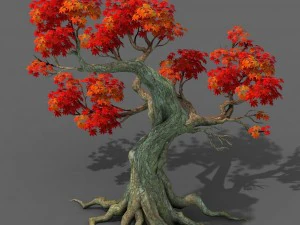 숲 - 단풍나무 18 3D 모델