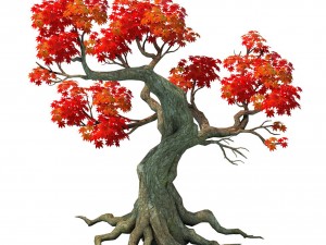 forest - maple tree 18 3D 模型