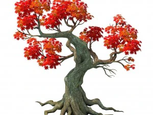 forest - maple tree 18 3D Model