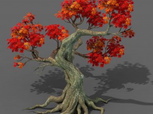 forest - maple tree 18 3D 模型