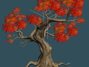 forest - maple tree 18 3D Model