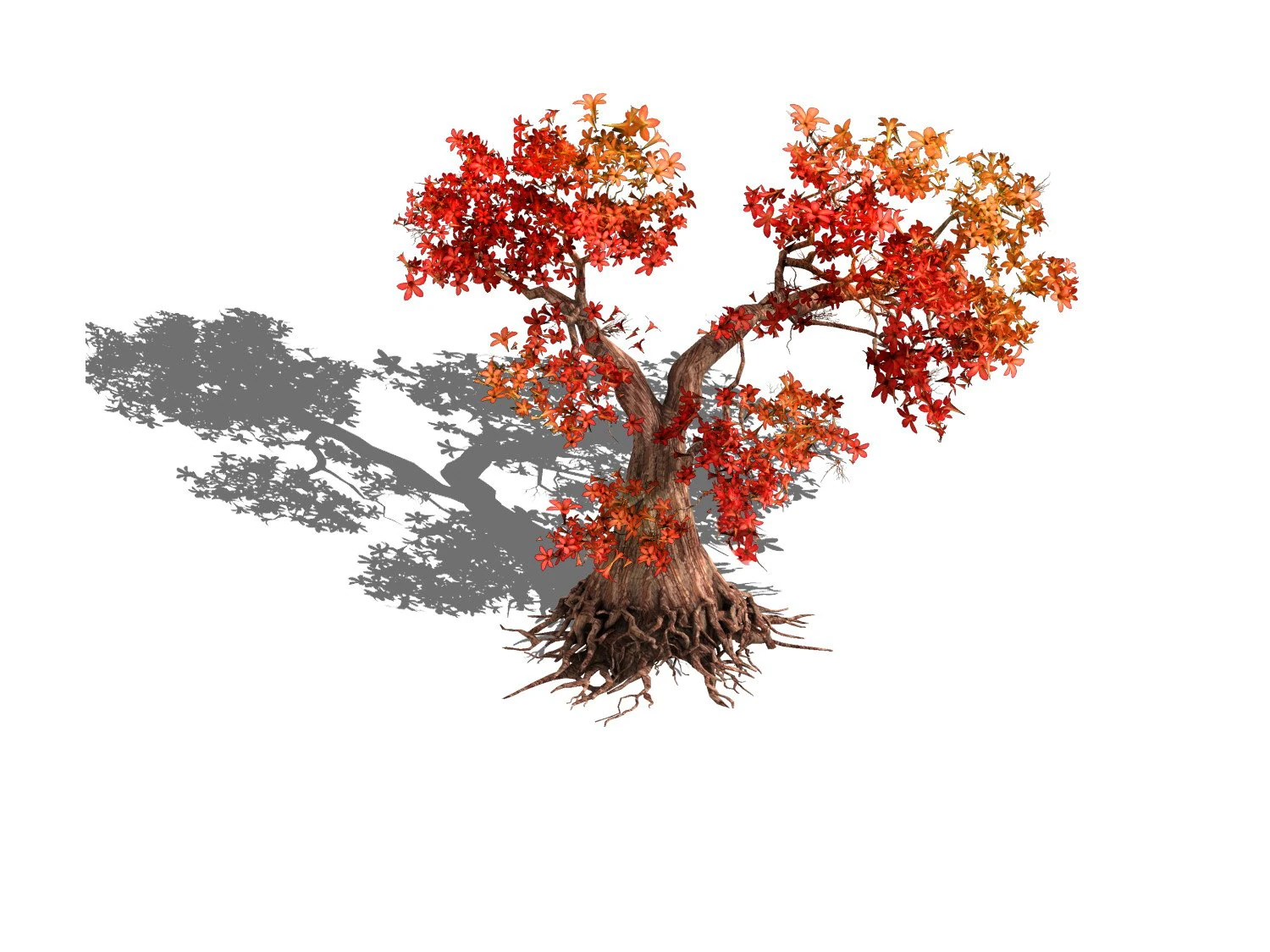 forest - maple tree 19 3D Model .c4d .max .obj .3ds .fbx .stl .blend