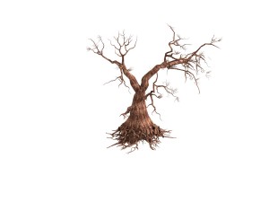 forest - maple tree 19 3D Модель