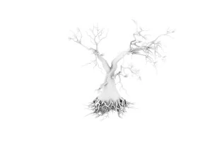 forest - maple tree 19 3D Model