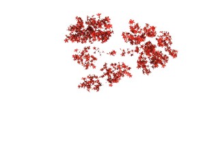 forest - maple tree 19 3D Модель