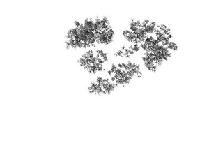 forest - maple tree 19 3D Model