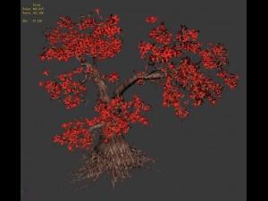 forest - maple tree 19 3D Модель