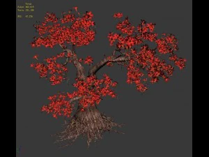 forest - maple tree 19 3D Model